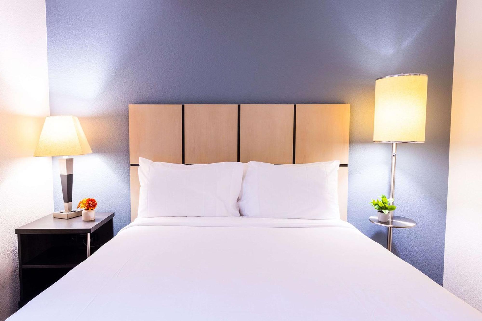 Sonesta Simply Suites كليرووتر المظهر الخارجي الصورة